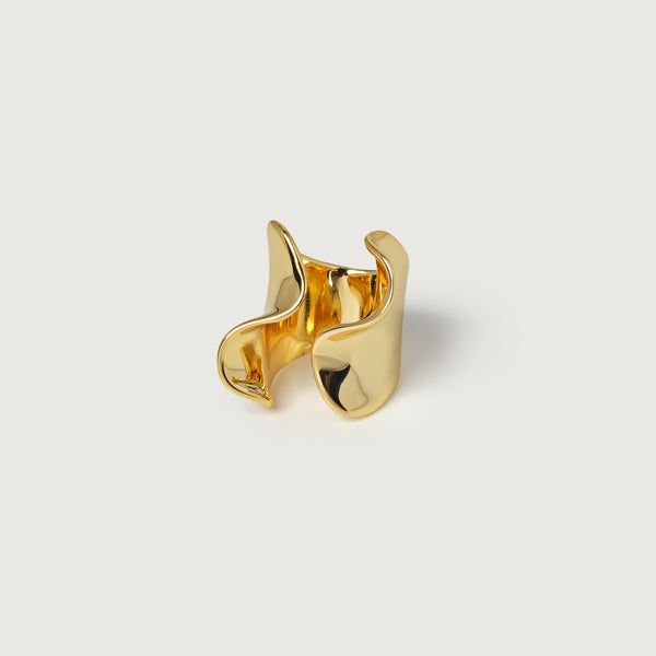 Two Waves Ring