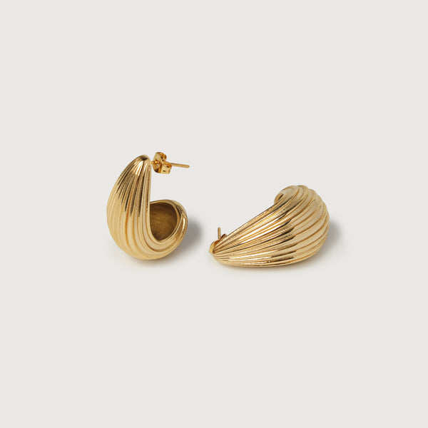 Shell Earrings